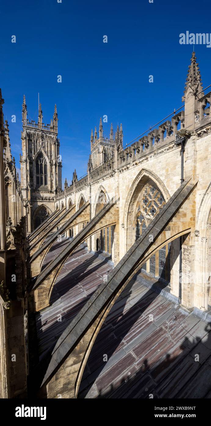Côté sud de la nef avec des contreforts volants, cathédrale York Minster, Angleterre Banque D'Images