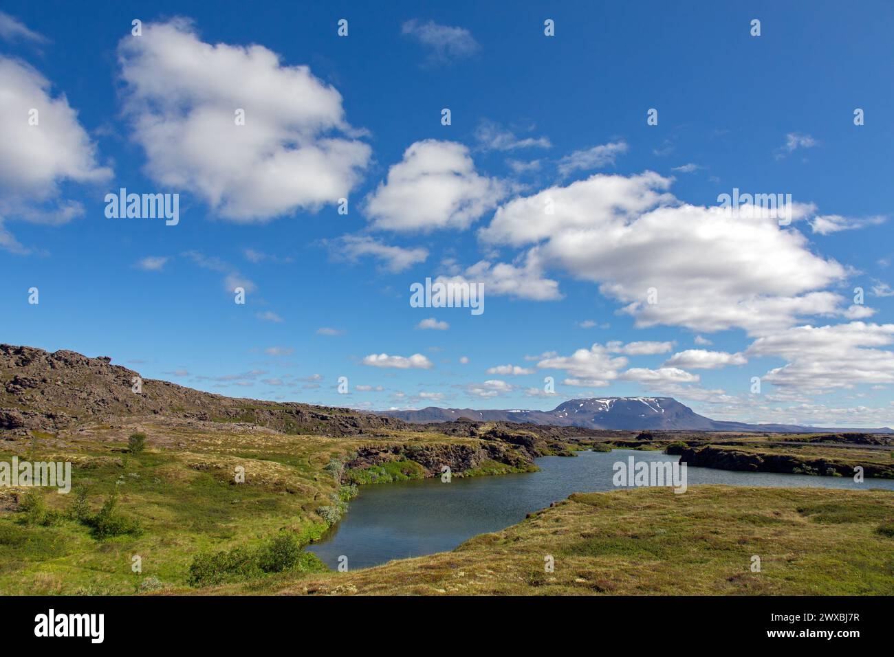 Vue sur le lac peu profond Mývatn en été, Norðurland eystra / Nordurland eystra dans le nord de l'Islande Banque D'Images