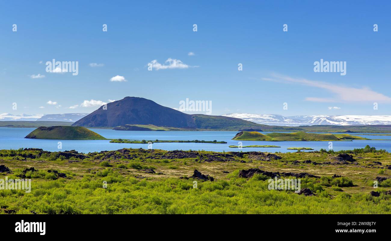 Vue sur le lac peu profond Mývatn en été, Norðurland eystra / Nordurland eystra dans le nord de l'Islande Banque D'Images