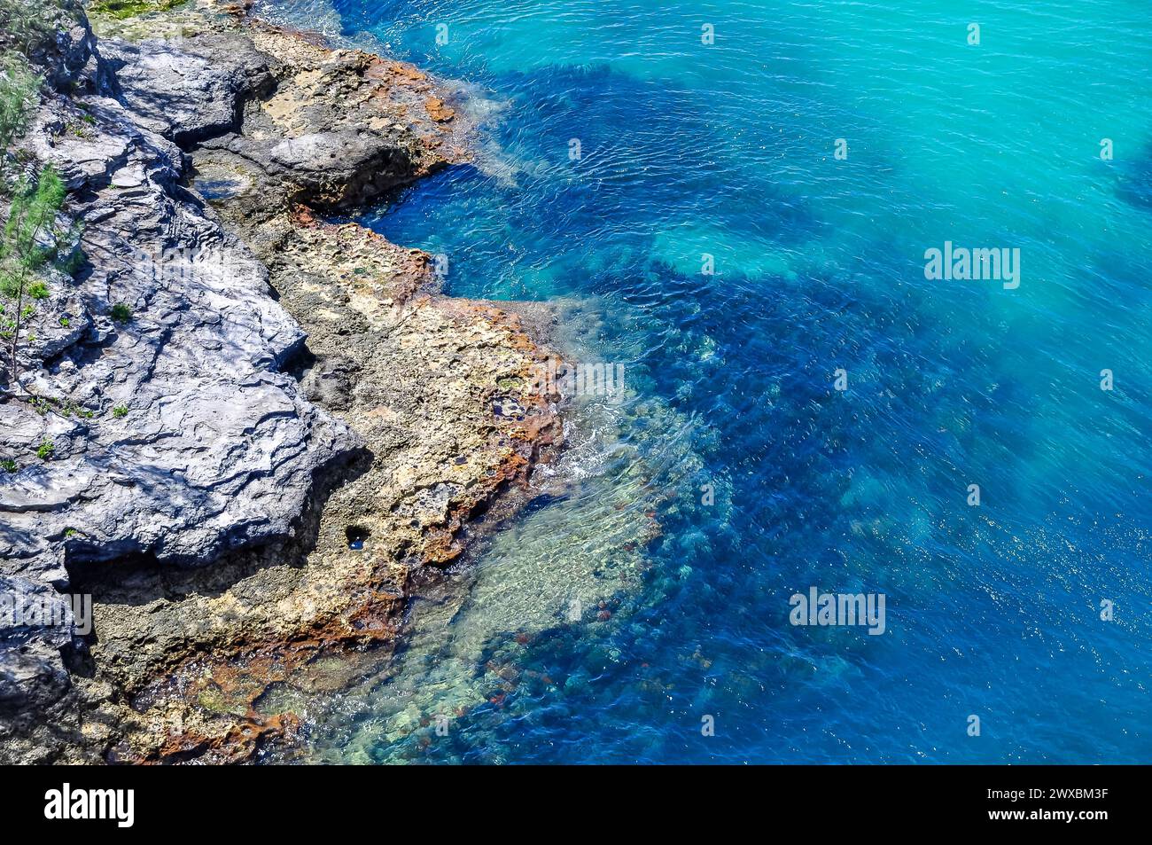 Aruba Paradise : eaux claires et littoral Banque D'Images