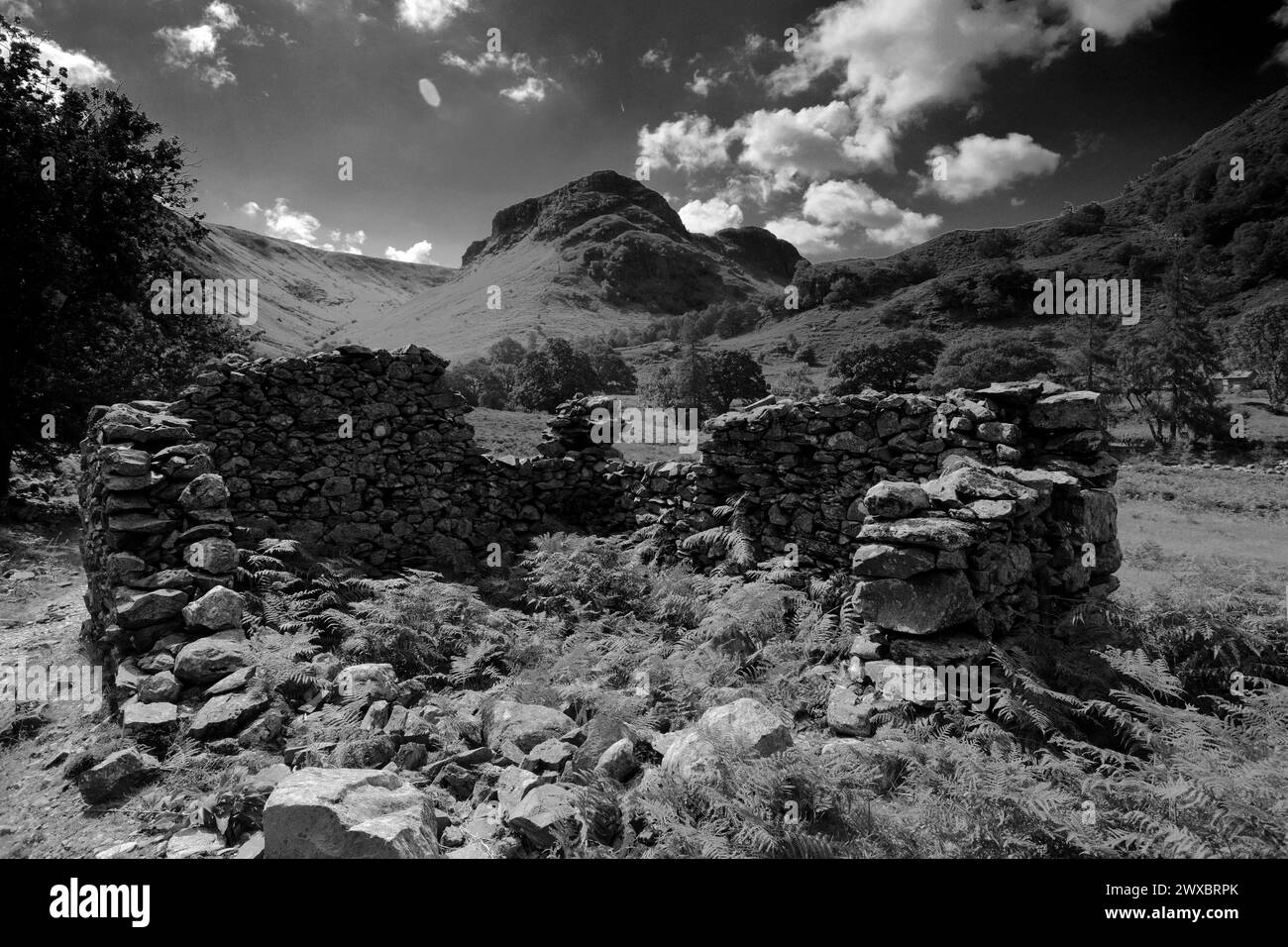 Vue sur la vallée de Stonethwaite, Allerdale, Lake District National Park, Cumbria, Angleterre, Royaume-Uni Banque D'Images