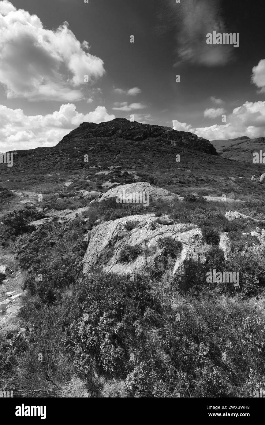 Vue de Sergeant's Crag Fell, Stonethwaite Valley, Allerdale, Lake District National Park, Cumbria, Angleterre, Royaume-Uni Sergeant's Crag est l'un des 214 Banque D'Images