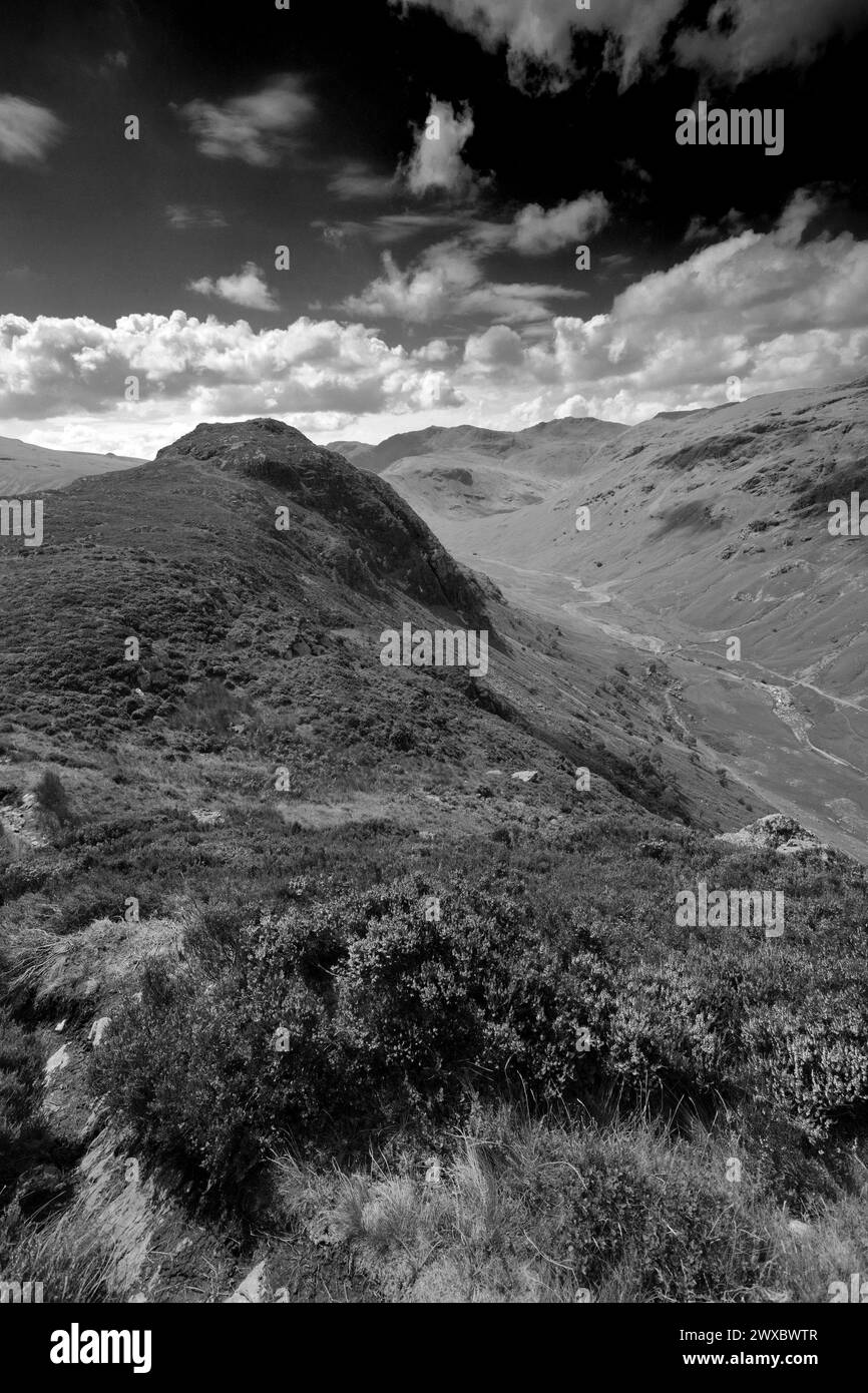 Vue de Sergeant's Crag Fell, Stonethwaite Valley, Allerdale, Lake District National Park, Cumbria, Angleterre, Royaume-Uni Sergeant's Crag est l'un des 214 Banque D'Images