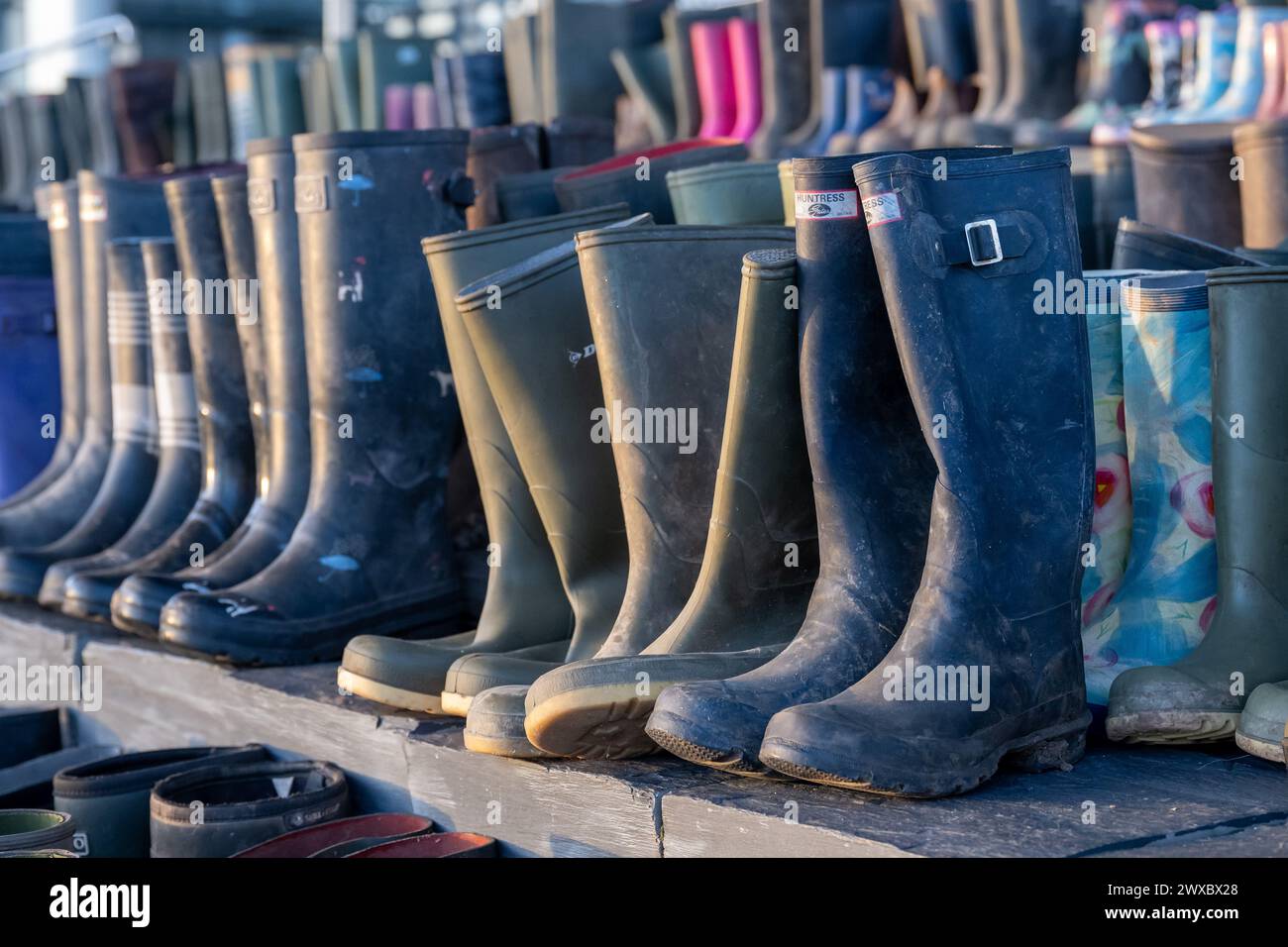 Wellies sur les marches du Parlement Senedd / gallois dans le cadre d'une manifestation des agriculteurs. Banque D'Images