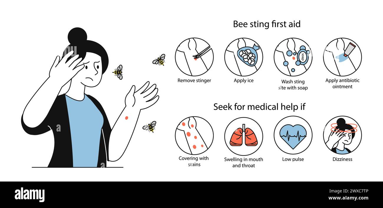 Aidez les abeilles à piquer le vecteur de premiers soins linéaire Illustration de Vecteur