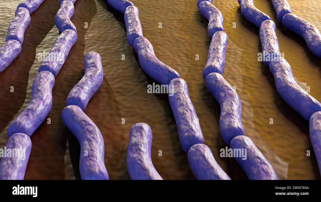 L'anthrax est une maladie bactérienne mortelle causée par la bactérie Bacillus anthracis, rendu 3D. Banque D'Images