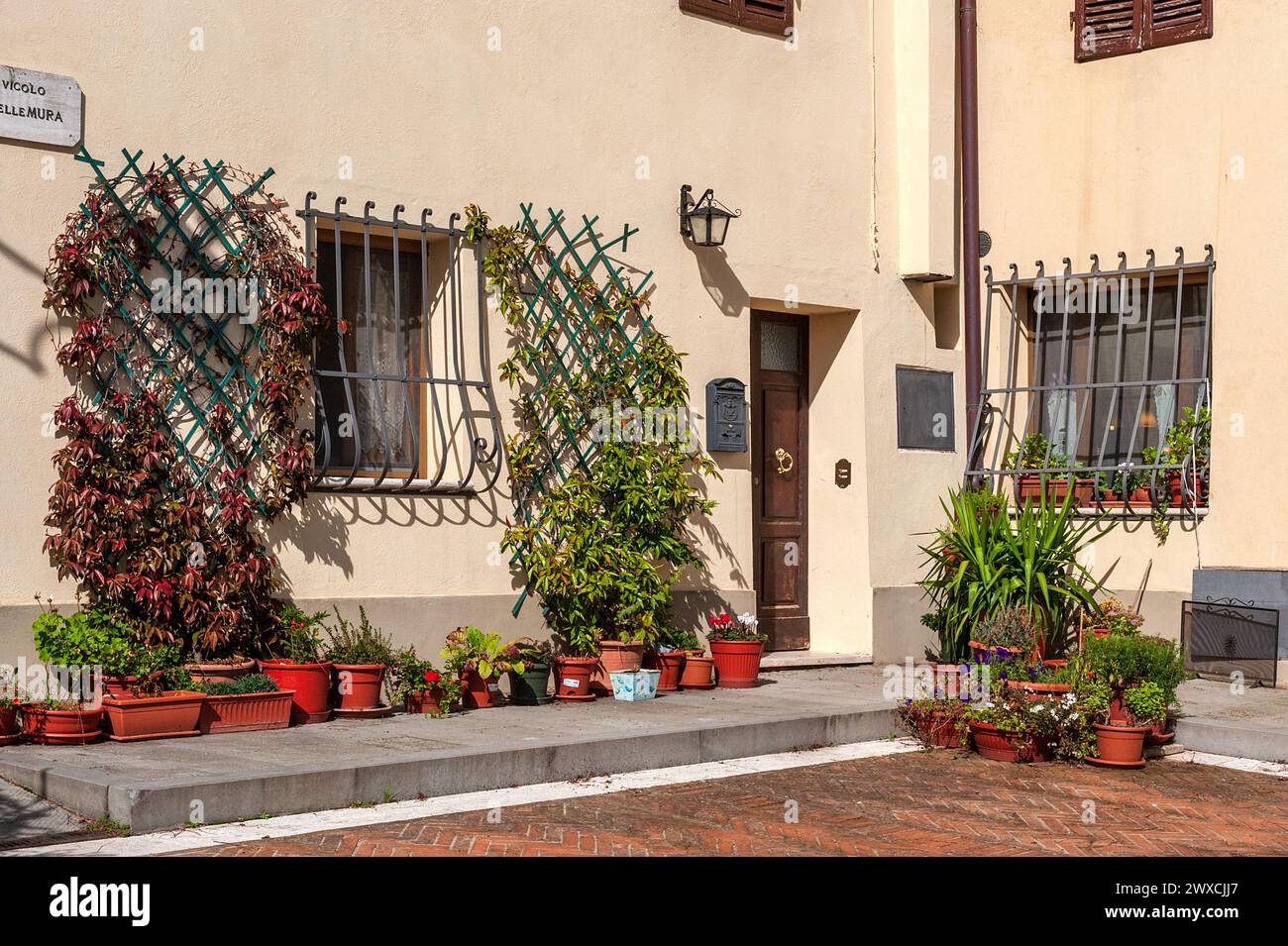 Treillis, pots de fleurs et vignes poussant à côté du mur beige. Banque D'Images