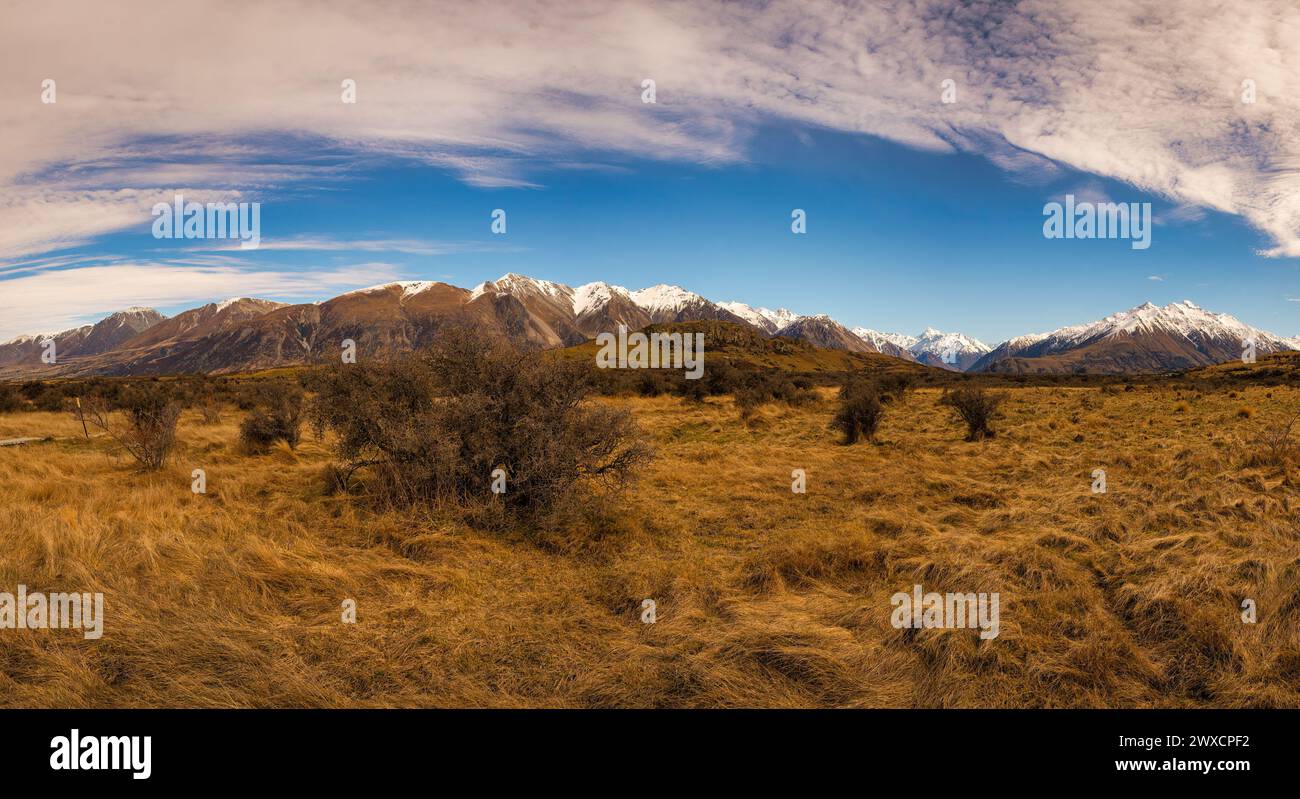 Marche à travers les herbes alpines et les buissons épineux vers Mt Sunday (Edoras du Seigneur des anneaux) avec en toile de fond les Alpes du Sud enneigées Banque D'Images