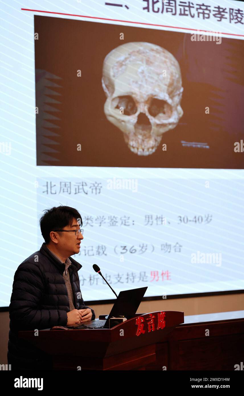 (240330) -- XI'AN, 30 mars 2024 (Xinhua) -- Wen Shaoqing, professeur agrégé de l'Institut des sciences archéologiques de l'Université de Fudan, présente les réalisations archéologiques du tombeau de l'empereur Wu de la dynastie Zhou du Nord dirigée par Xianbei (557-581), lors d'une conférence de presse à Xi'an, province du Shaanxi, au nord-ouest de la Chine, le 28 mars 2024. Une équipe de scientifiques chinois a complété jeudi le profil génétique d'un ancien empereur de minorité ethnique chinoise via une analyse du génome, selon des archéologues locaux. POUR ALLER AVEC 'China Focus : les scientifiques restaurent le profil de Chines antiques Banque D'Images