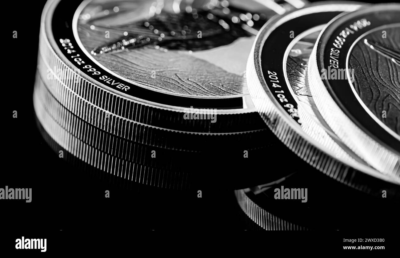 Macro gros plan de Silver Bullion coin sur fond noir miroir Banque D'Images