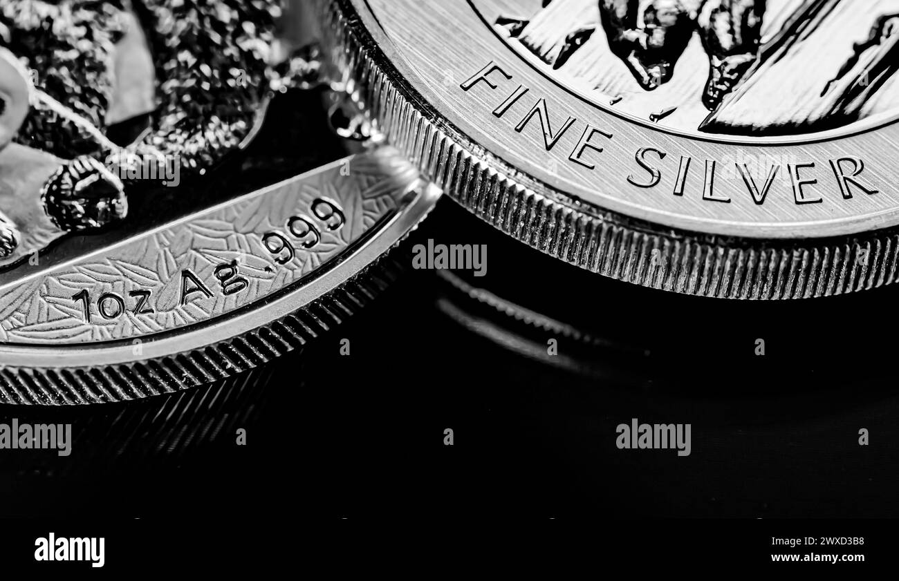 Macro gros plan de Silver Bullion coin sur fond noir miroir Banque D'Images