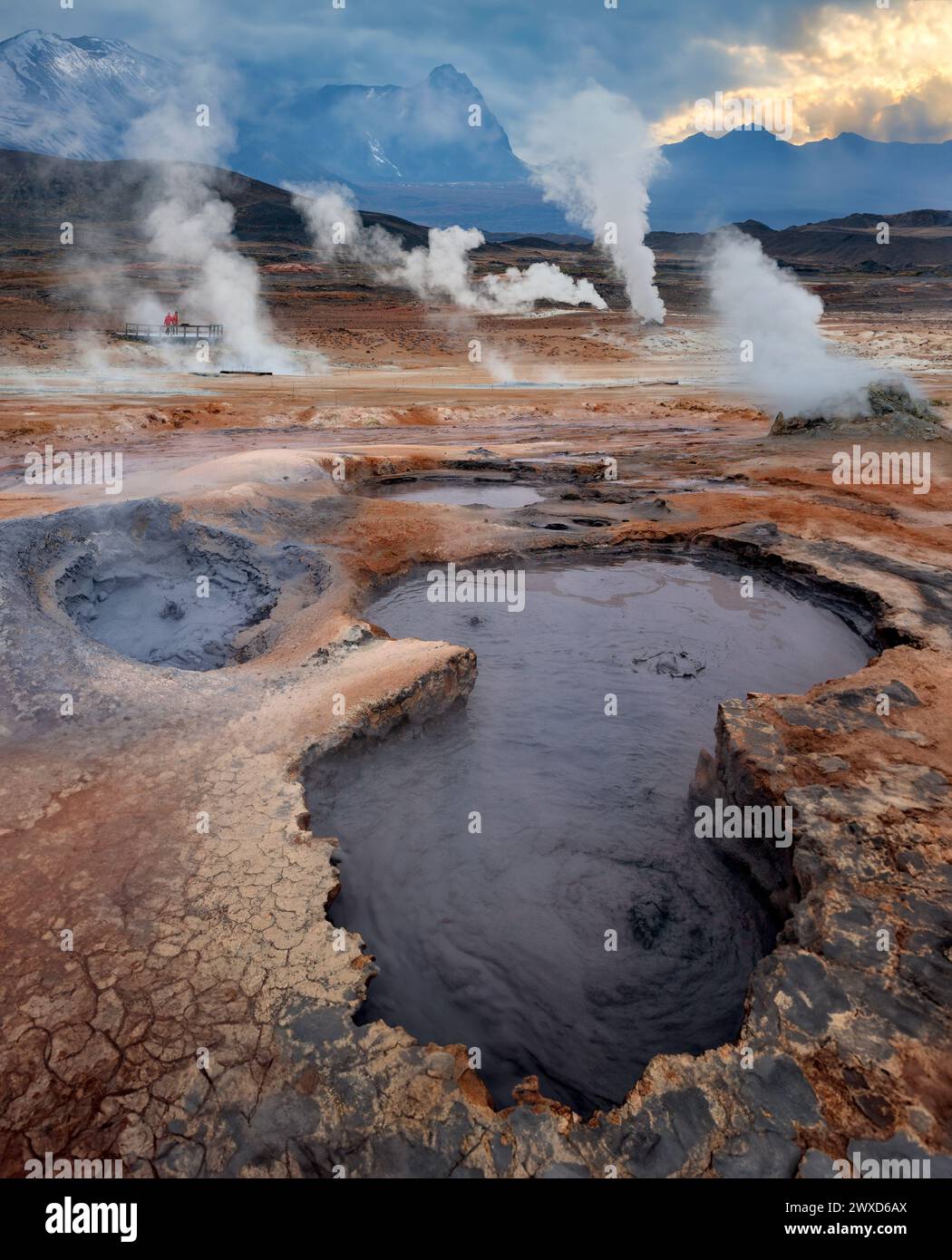 Bassins de boue bouillante et évents de vapeur volcanique dans la zone géothermique de Namaskard près du lac Myvatn dans le nord de l'Islande. Banque D'Images