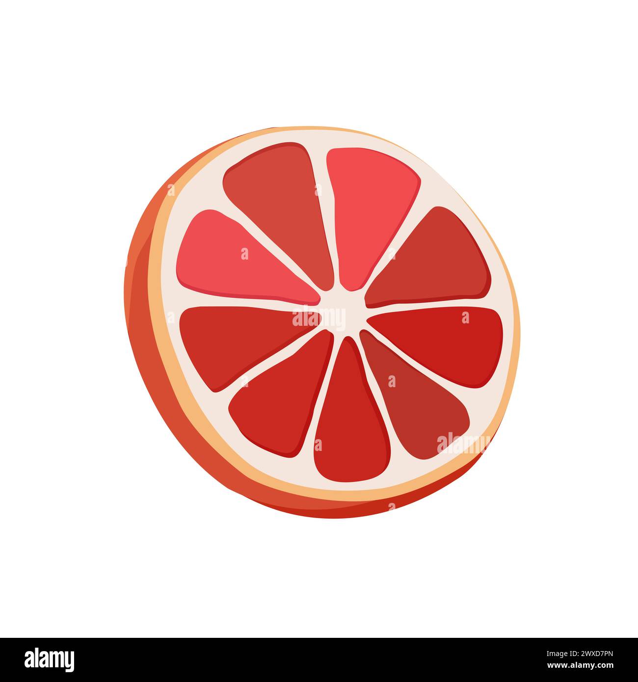 Juteuse et saine tranche de pamplemousse rouge mince isolé sur fond blanc. Illustration vectorielle de fruits tranchés dans un style plat. Clipart d'été pour le design Illustration de Vecteur