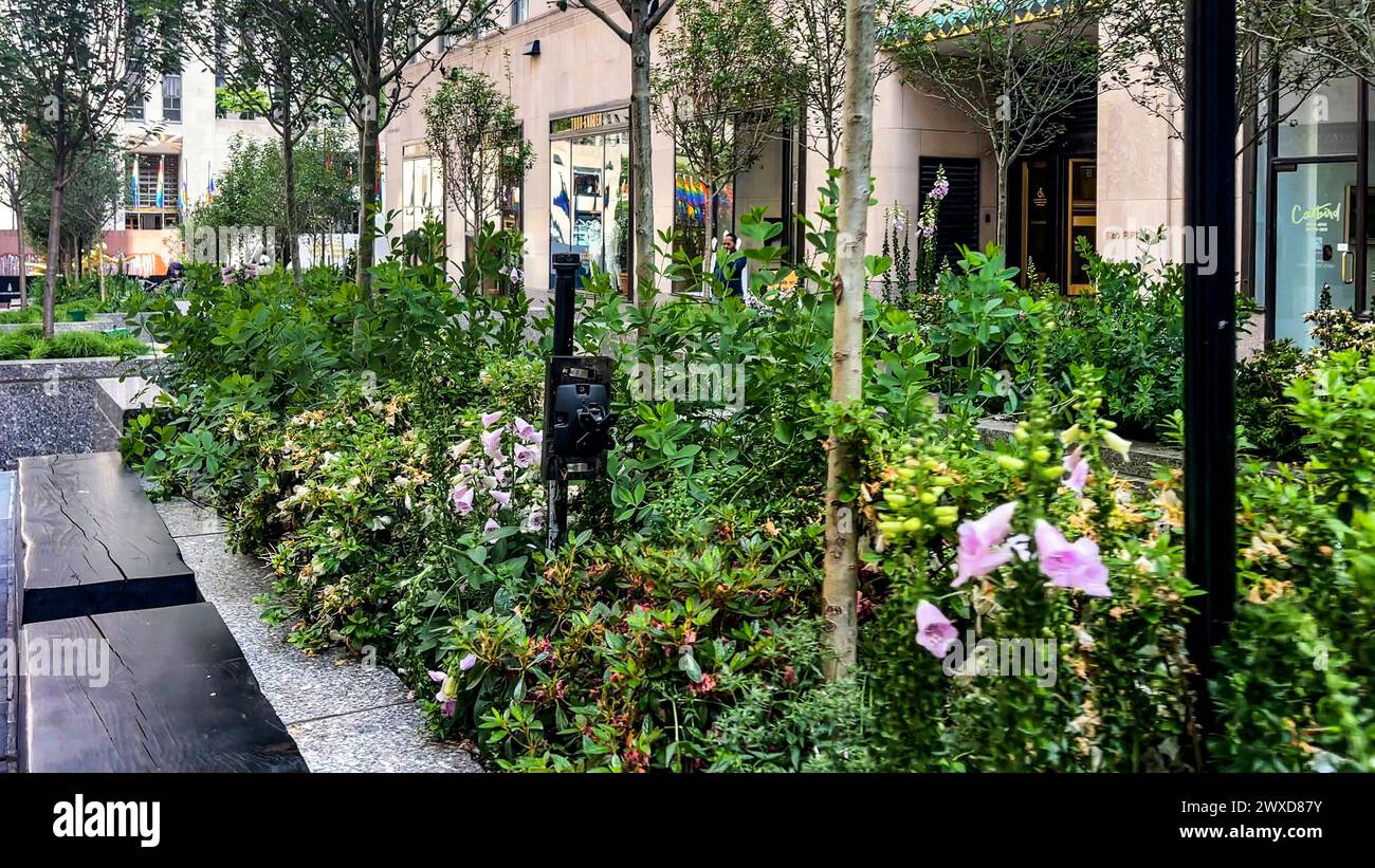 New York, États-Unis ; 26 janvier 2024 : flâner dans le Rockefeller Center Park, un vaste conglomérat architectural et commercial situé entre le 48e et Banque D'Images
