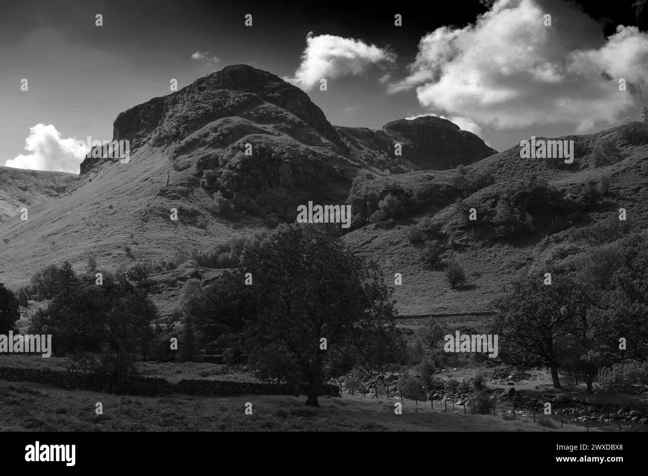 Vue sur Eagle Crag Fell, Stonethwaite Valley, Allerdale, Lake District National Park, Cumbria, Angleterre, Royaume-Uni Eagle Crag est l'un des 214 Wainwright F. Banque D'Images