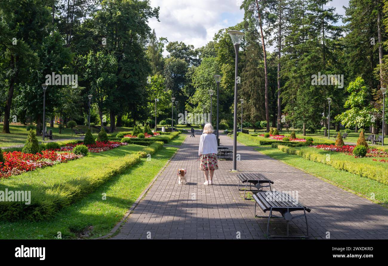 Femme et chien - Cavalier King Charles Spaniel - marcher dans un parc public avec des fleurs luxuriantes, des plantes, de l'herbe et des arbres Banque D'Images