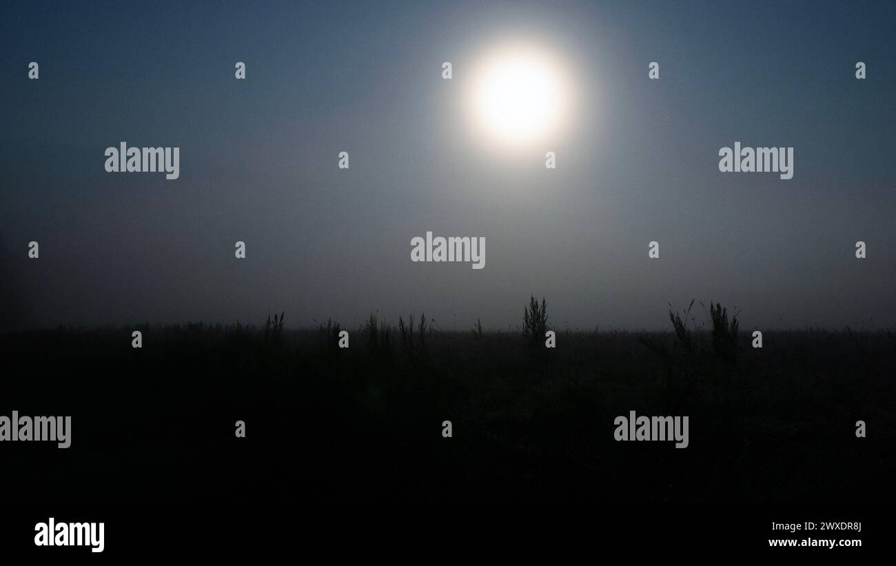 La lune brille dans le ciel. Par une nuit brumeuse effrayante dans la campagne. Banque D'Images