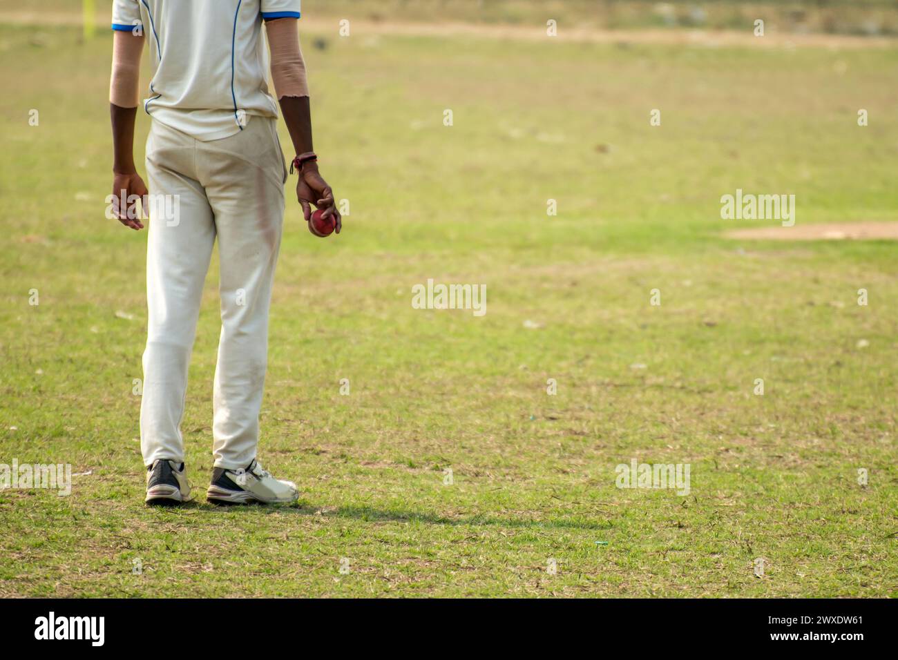 Joueur de cricket rapide prêt à courir des étapes et à démarrer la position Banque D'Images