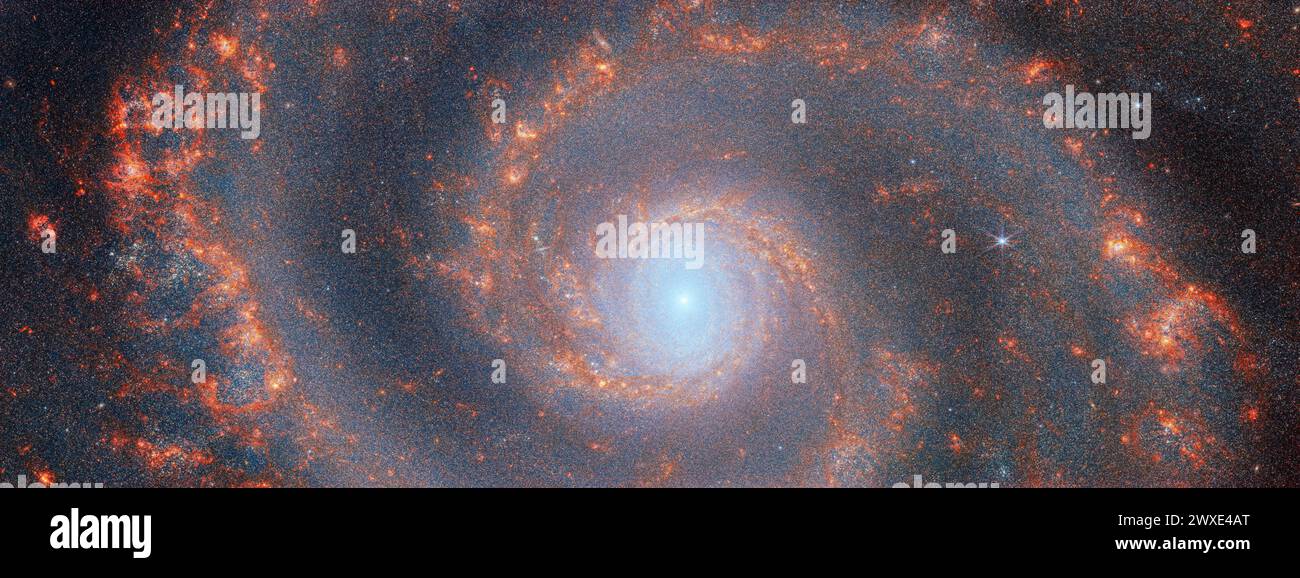 Les bras enroulés de la galaxie spirale M51 s'étendent sur cette image du télescope spatial James Webb NASA/ESA/CSA. Ce portrait galactique a été capturé par la caméra proche infrarouge de Webb (NIRCam). Sur cette image, les traits rouges foncés tracent la poussière chaude filamentaire, tandis que les couleurs rouge, orange et jaune montrent les taches de signe du gaz ionisé par les amas stellaires récemment formés. Crédit : NASA Banque D'Images