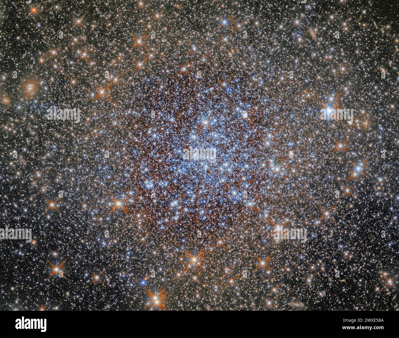 Cet amas dense d'étoiles est l'amas globulaire NGC 1841, qui fait partie du Grand nuage de Magellan (LMC), une galaxie satellite de notre voie Lactée qui se trouve à environ 162 000 années-lumière de distance. Des dizaines de galaxies satellites orbitent autour de notre galaxie. La plus grande et la plus brillante de celles-ci est la LMC, qui est facilement visible à l'œil nu depuis l'hémisphère sud dans des conditions de ciel sombre loin de la pollution lumineuse. Une version optimisée et améliorée d'une image originale de Hubble. Crédit image : ESA/Hubble & NASA/A.Sarajedini Banque D'Images