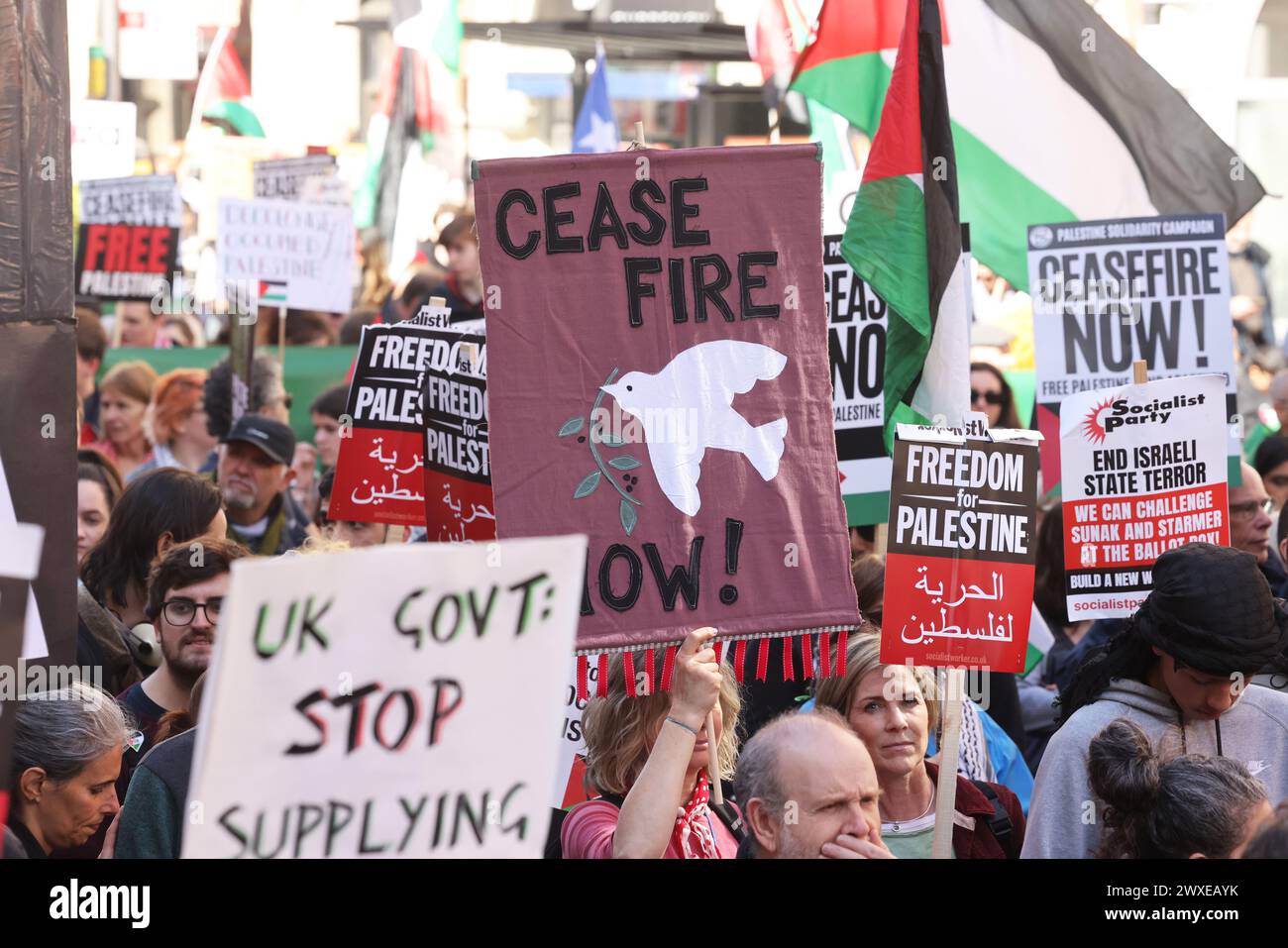 Londres, Royaume-Uni, 30 mars 2024. Des milliers de personnes ont défilé de Russell Square à Trafalgar Square pour le 11 mars à Londres, appelant à un cessez-le-feu à Gaza. Le 30 mars est une journée importante pour les Palestiniens en tant que Journée de la Terre, rappelant les événements de 1976, quand ils organisent des manifestations et plantent des oliviers pour réaffirmer leur lien avec leurs terres. Crédit : Monica Wells/Alamy Live News Banque D'Images