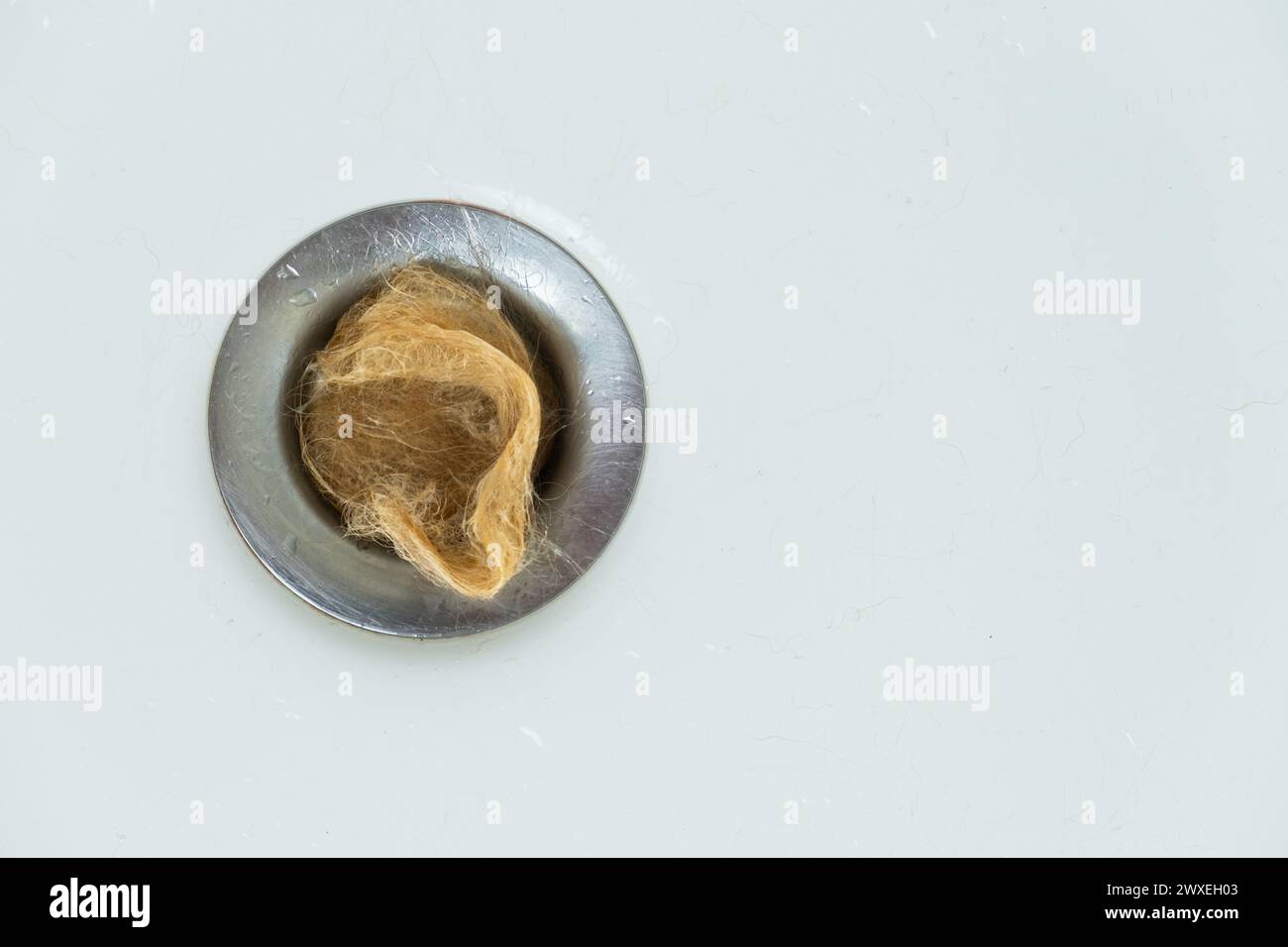 détail d'une grande touffe de cheveux obstruant le drain d'une baignoire blanche. vue de dessus. après avoir lavé un chien. Perte de cheveux. nettoyage de la salle de bain. Banque D'Images
