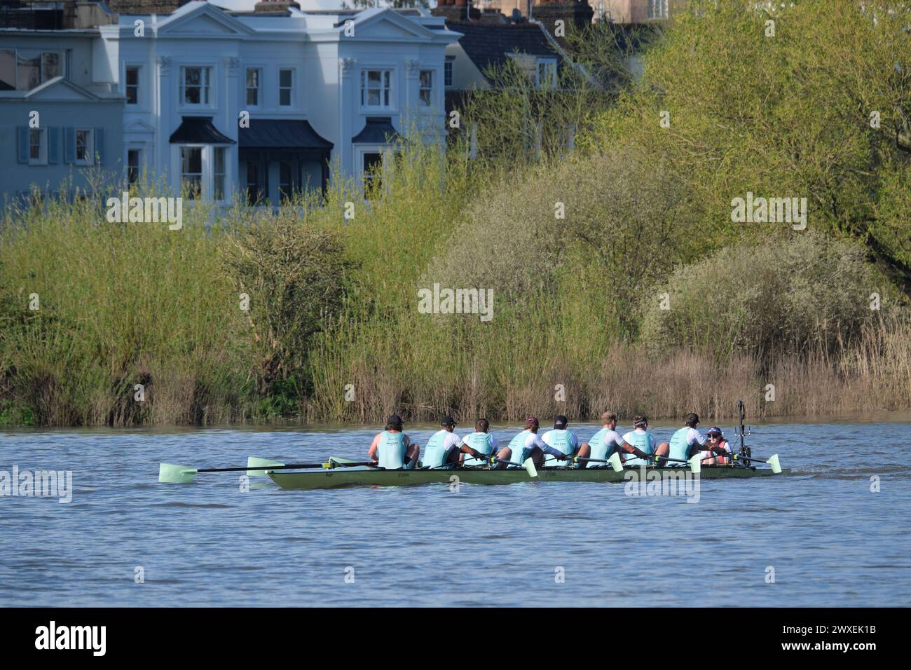 Tamise - des concentrations élevées d'E. coli provenant des eaux usées brutes ont été trouvées dans la rivière où les universités font des courses chaque année. Cambridge Crew Banque D'Images