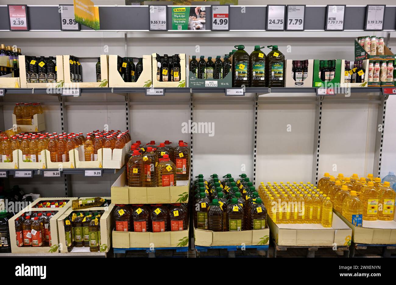 Étagères d'huiles de cuisson, huile d'olive, huile de tournesol, en bouteilles exposées au supermarché Lidl, Espagne Banque D'Images