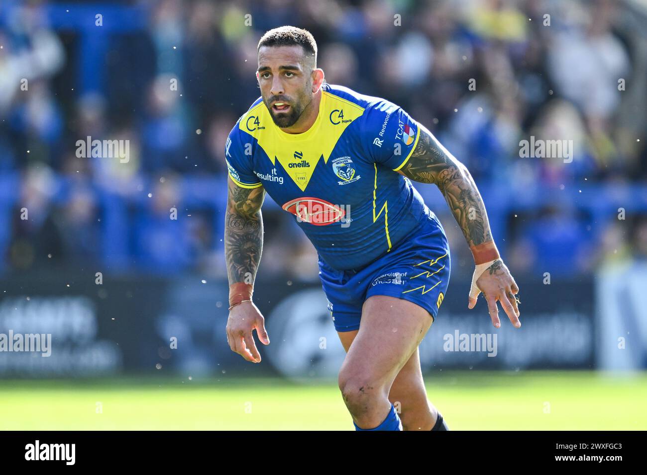 Paul Vaughan de Warrington Wolves lors du match de Betfred Super League Warrington Wolves vs Catalans Dragons au stade Halliwell Jones, Warrington, Royaume-Uni, 30 mars 2024 (photo de Craig Thomas/News images) Banque D'Images