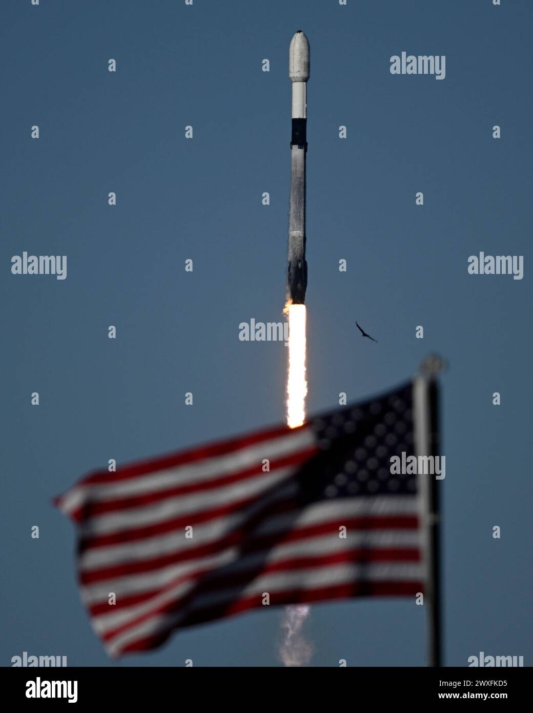 Kennedy Space Center, Floride, États-Unis. 30 mars 2024. Une fusée SpaceX Falcon 9 lance Eutelsat 36D depuis le complexe de lancement 39 à 17h52 depuis le Kennedy Space Center, Floride, le samedi 30 mars 2024. Photo de Joe Marino/UPI crédit : UPI/Alamy Live News Banque D'Images