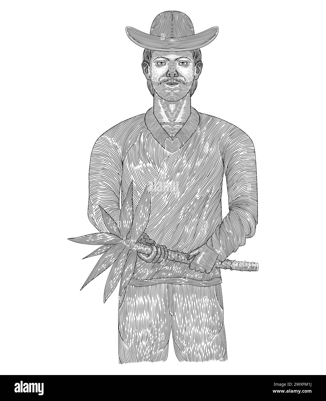 Cultivateur de manioc ou de manioc, illustration de style dessin de gravure vintage Illustration de Vecteur