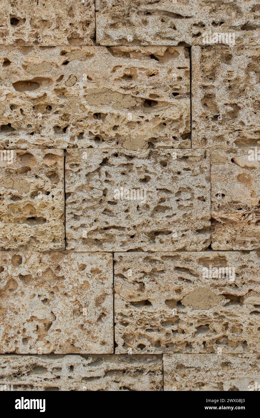 Brique nature Blocks Wall Natural Sand Shell texture fond de calcaire Grunge. Banque D'Images