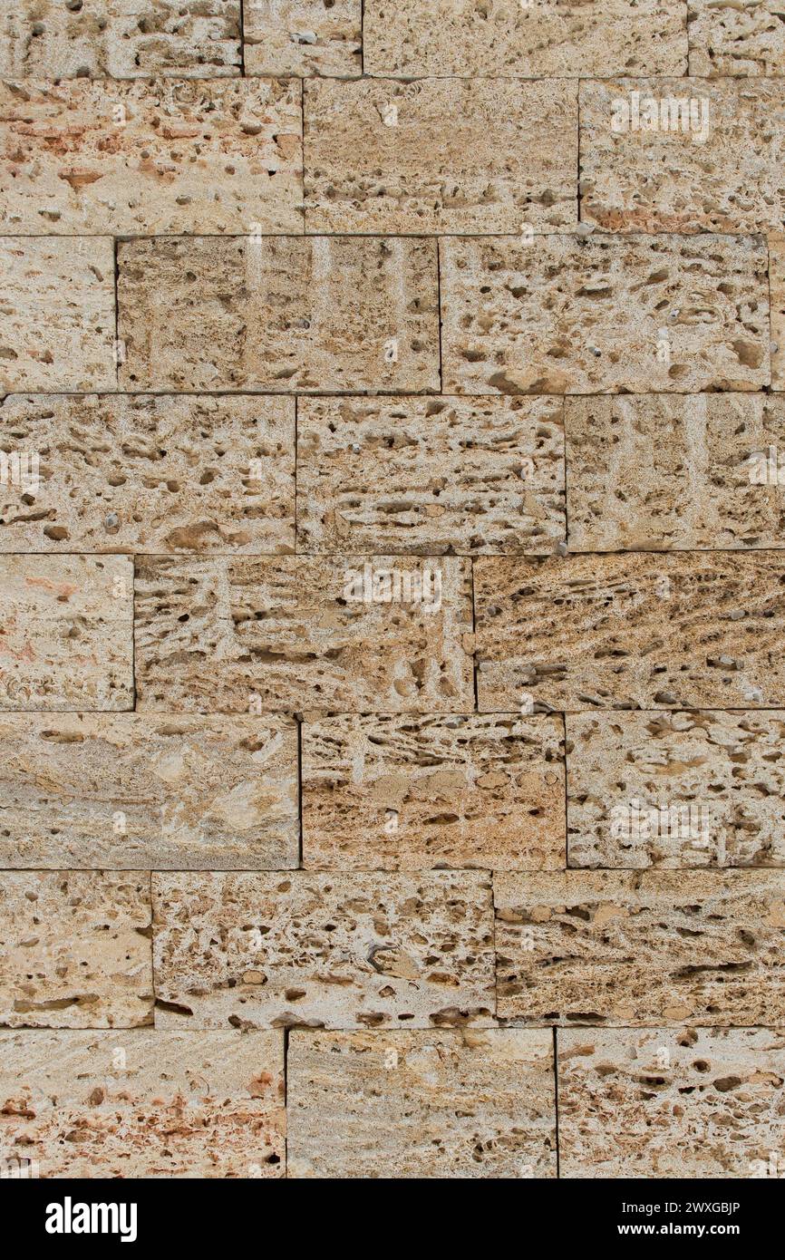 Brique nature Blocks Wall Natural Sand Shell texture calcaire de fond. Banque D'Images