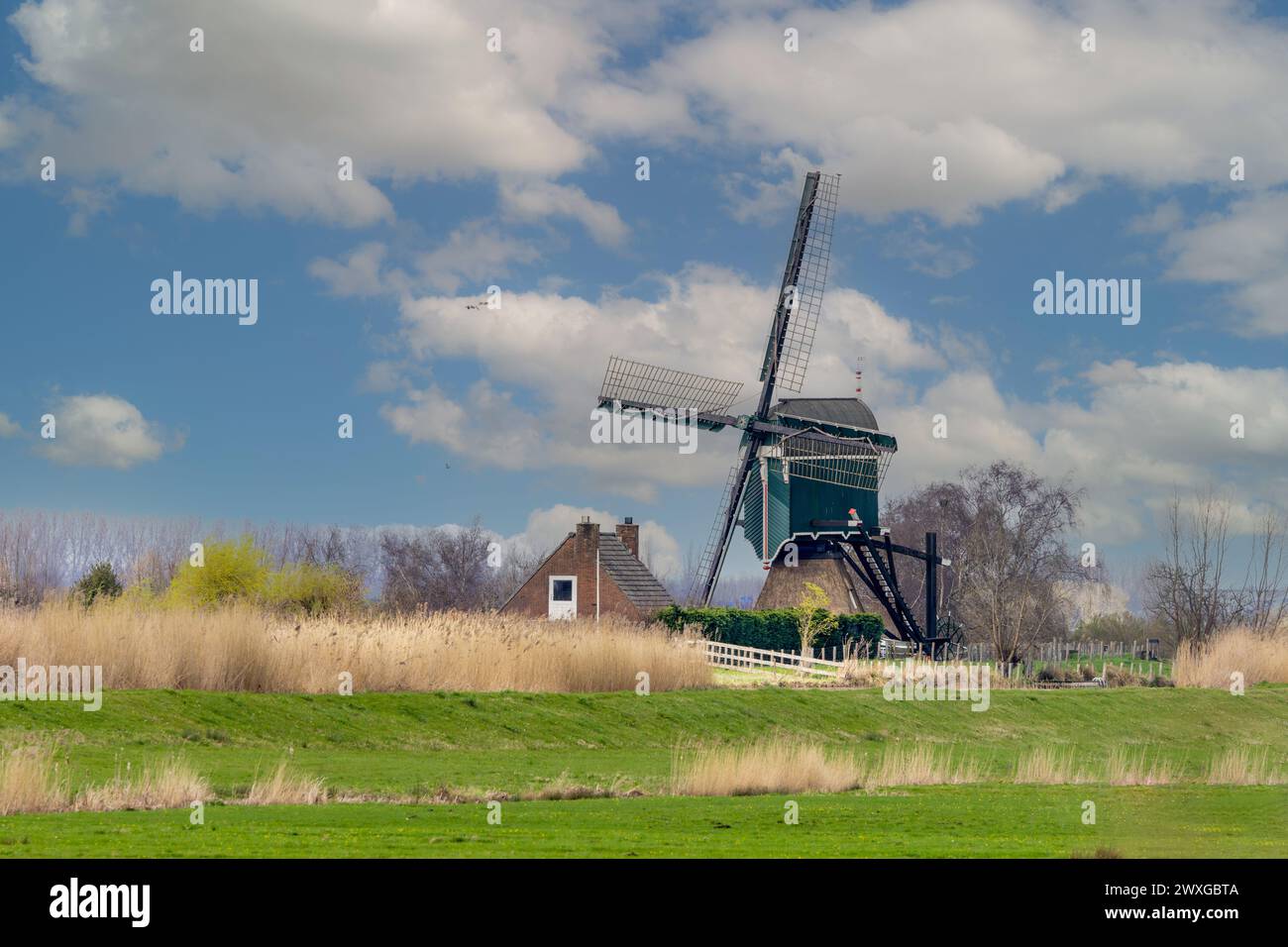 Paysage avec digue et historique Oukoopse molen avec la maison de miller le long de l'enkele Wiericke dans la province néerlandaise de Zuid Holland contre un backgr Banque D'Images