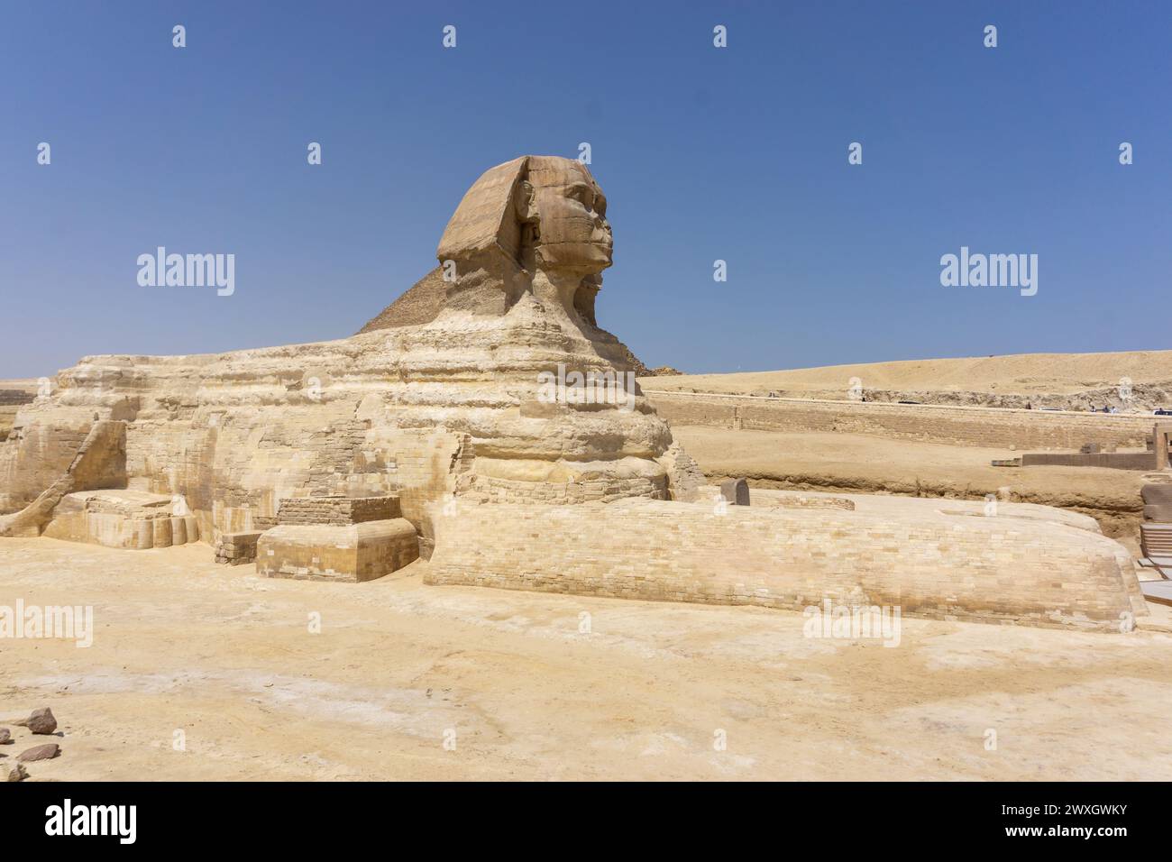 Le Sphinx dans le complexe pyramidal de Gizeh, le Caire, Egypte Banque D'Images