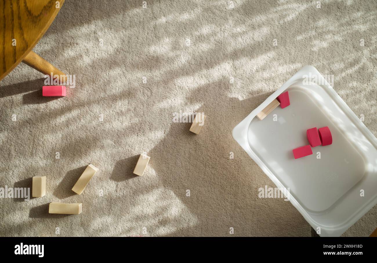 Quelques briques de jouet en bois sur un tapis dans un salon. Le gamin a oublié de nettoyer après avoir joué. Banque D'Images