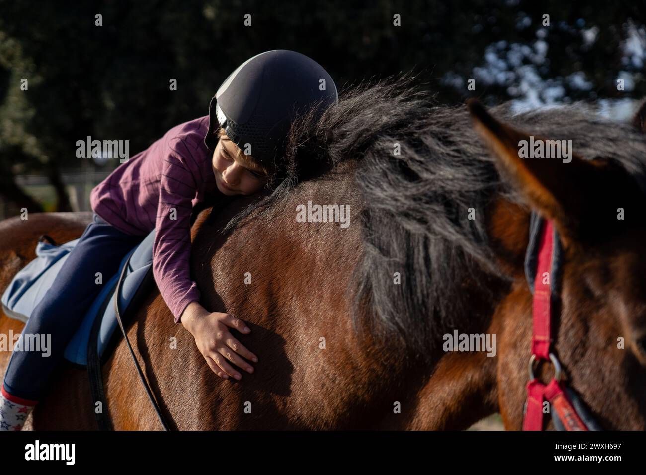 Un enfant serrant un cheval dans son dos Banque D'Images