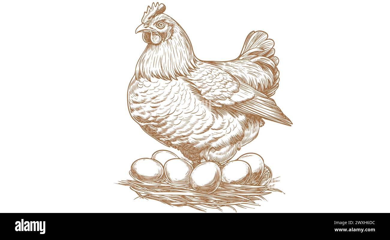 Poulet, poule avec nid, œufs. Œuvres d'art vintage Illustration de Vecteur