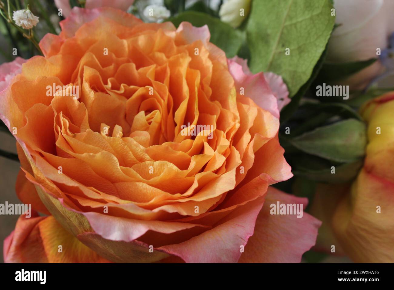 Une rose orange parmi les fleurs blanches et roses dans un vase en verre Banque D'Images