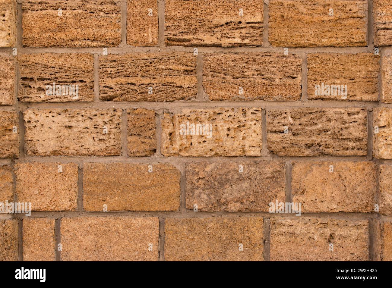 Blocs de briques brunes sable coquille calcaire fond de mur naturel de texture. Banque D'Images