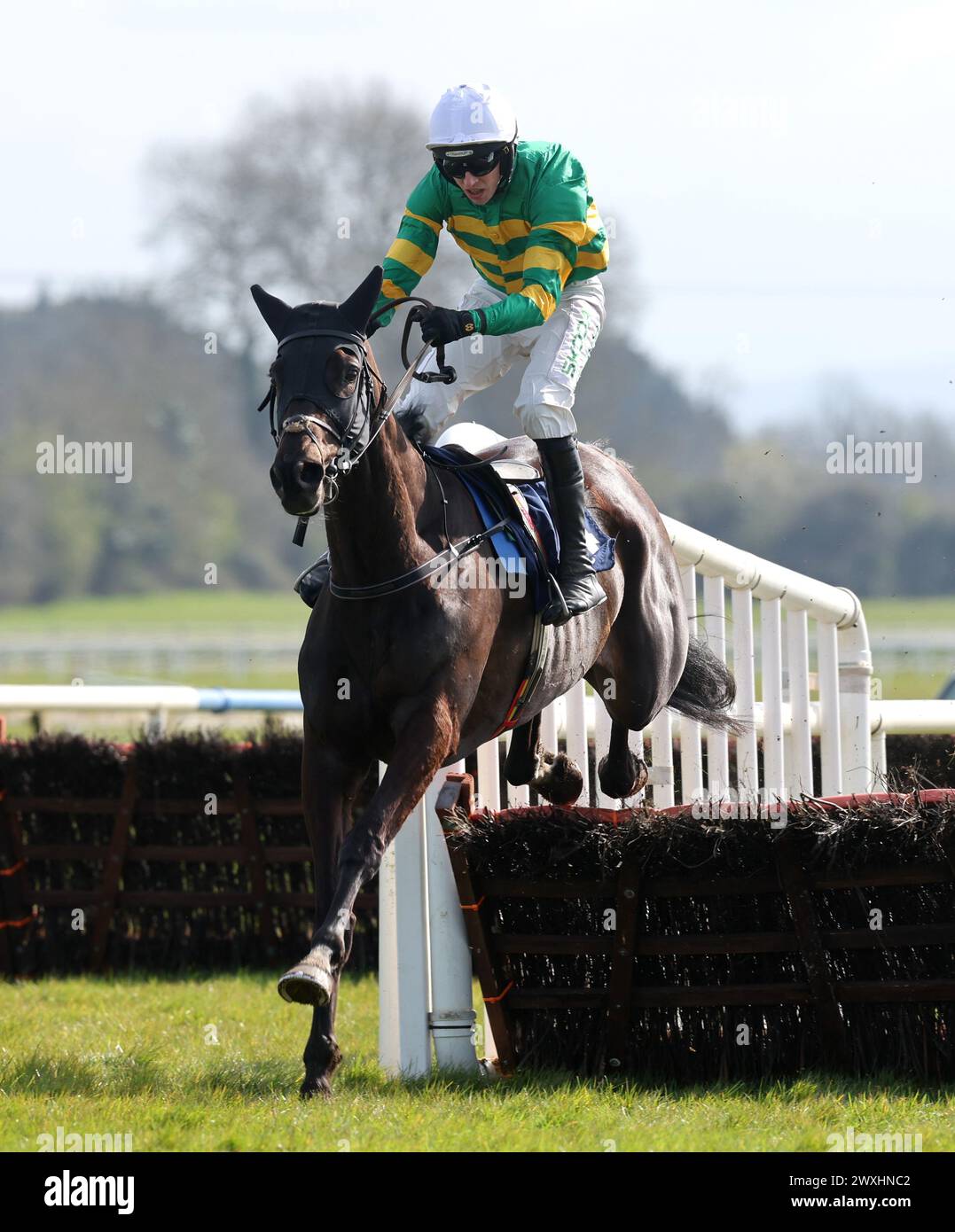 Mirazur West monté par Mark Walsh sur leur chemin pour gagner le Donohue marquees novice Hurdle lors du Fairyhouse Easter Festival 2024 à Fairyhouse Racecourse dans le comté de Meath, Irlande. Date de la photo : dimanche 31 mars 2024. Banque D'Images