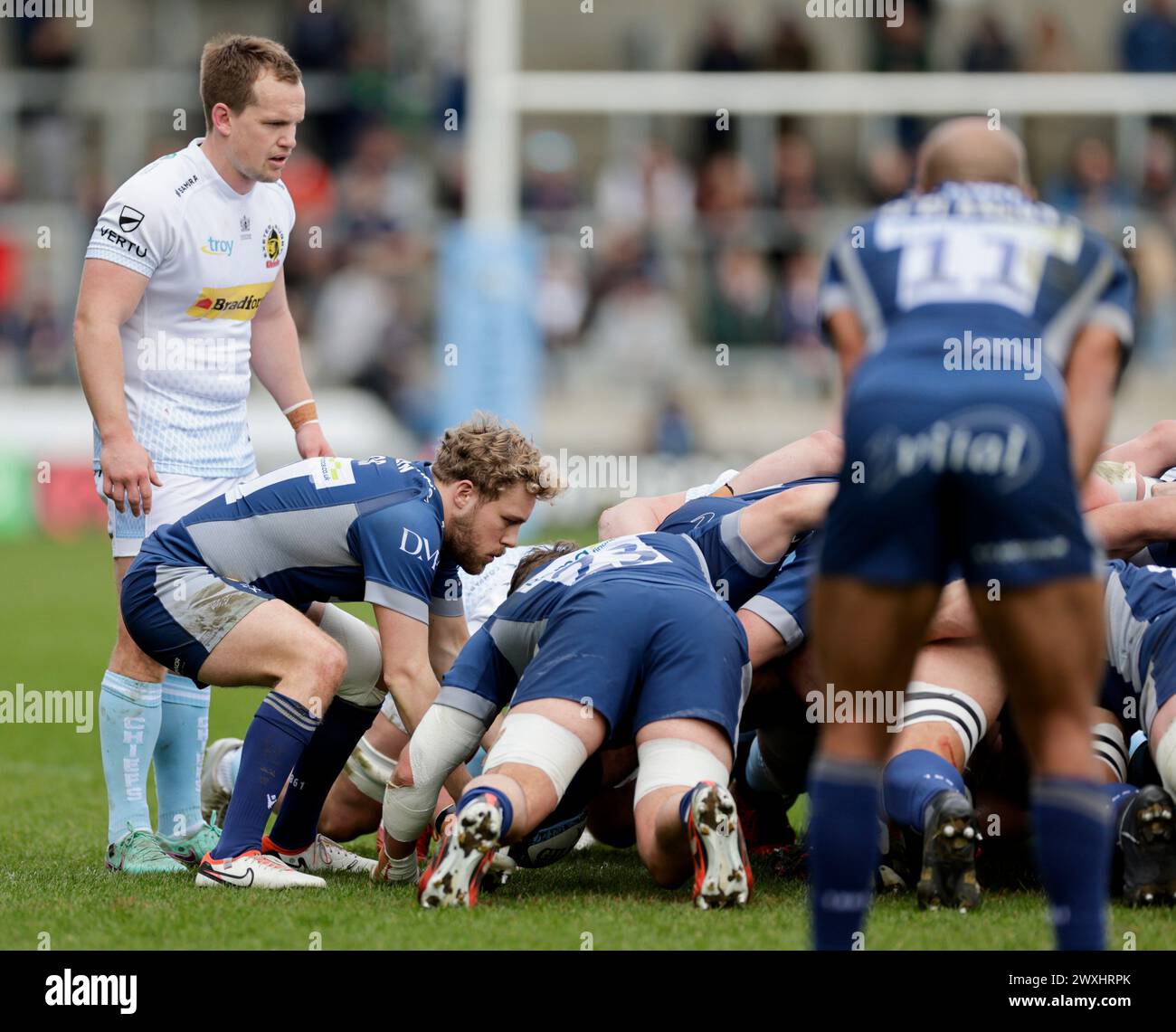 31 mars 2024 ; Salford Community Stadium, Salford, Lancashire, Angleterre; Gallagher Premiership Rugby, Sale Sharks contre Exeter Chiefs ; Gus Warr de Sale Sharks met le ballon dans la mêlée Banque D'Images