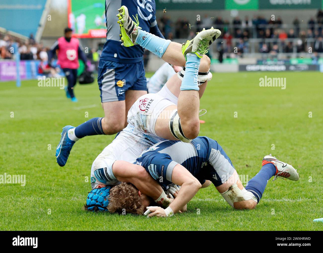 Gus Warr des Sale Sharks marque un essai lors du Gallagher Premiership match au Salford Community Stadium. Date de la photo : dimanche 31 mars 2024. Banque D'Images