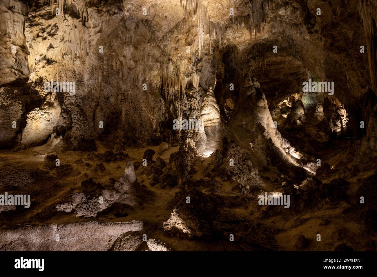 Vue sur la grande chambre dans le parc national de Carlsbad Caverns Banque D'Images