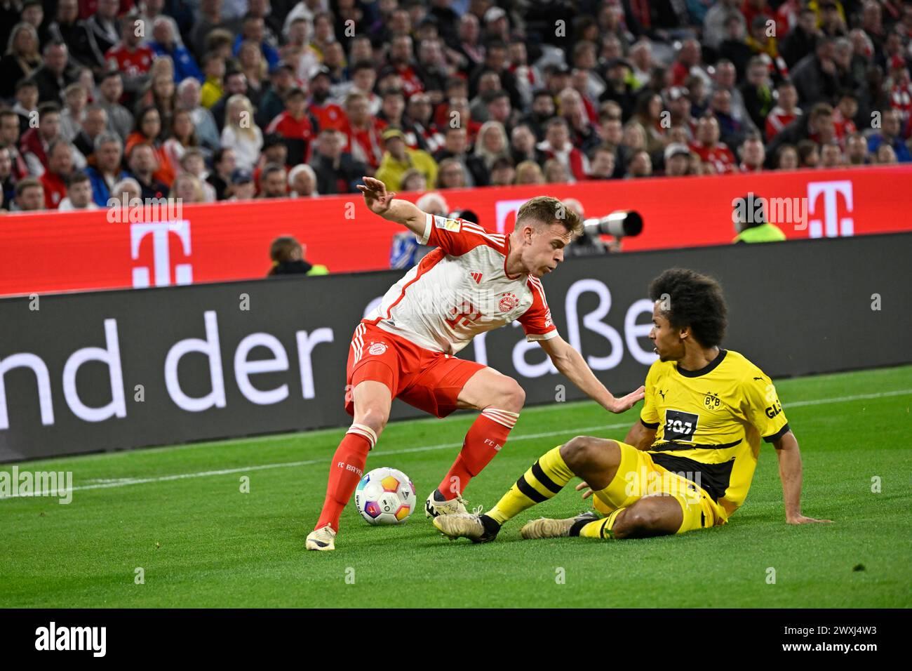 MUNICH, Allemagne. , . 6 Joshua KIMMICH du FC Bayern en action vs 27 Karim ADEYEMI du BVB lors du match de Bundesliga Football entre le FC Bayern Muenchen et le Borussia Dortmund, BVB, à l'Allianz Arena de Munich le 30. Mars 2024, Allemagne. DFL, Fussball, 0:2(photo et copyright @ Jerry ANDRE/ATP images) (ANDRE Jerry/ATP/SPP) crédit : SPP Sport Press photo. /Alamy Live News Banque D'Images