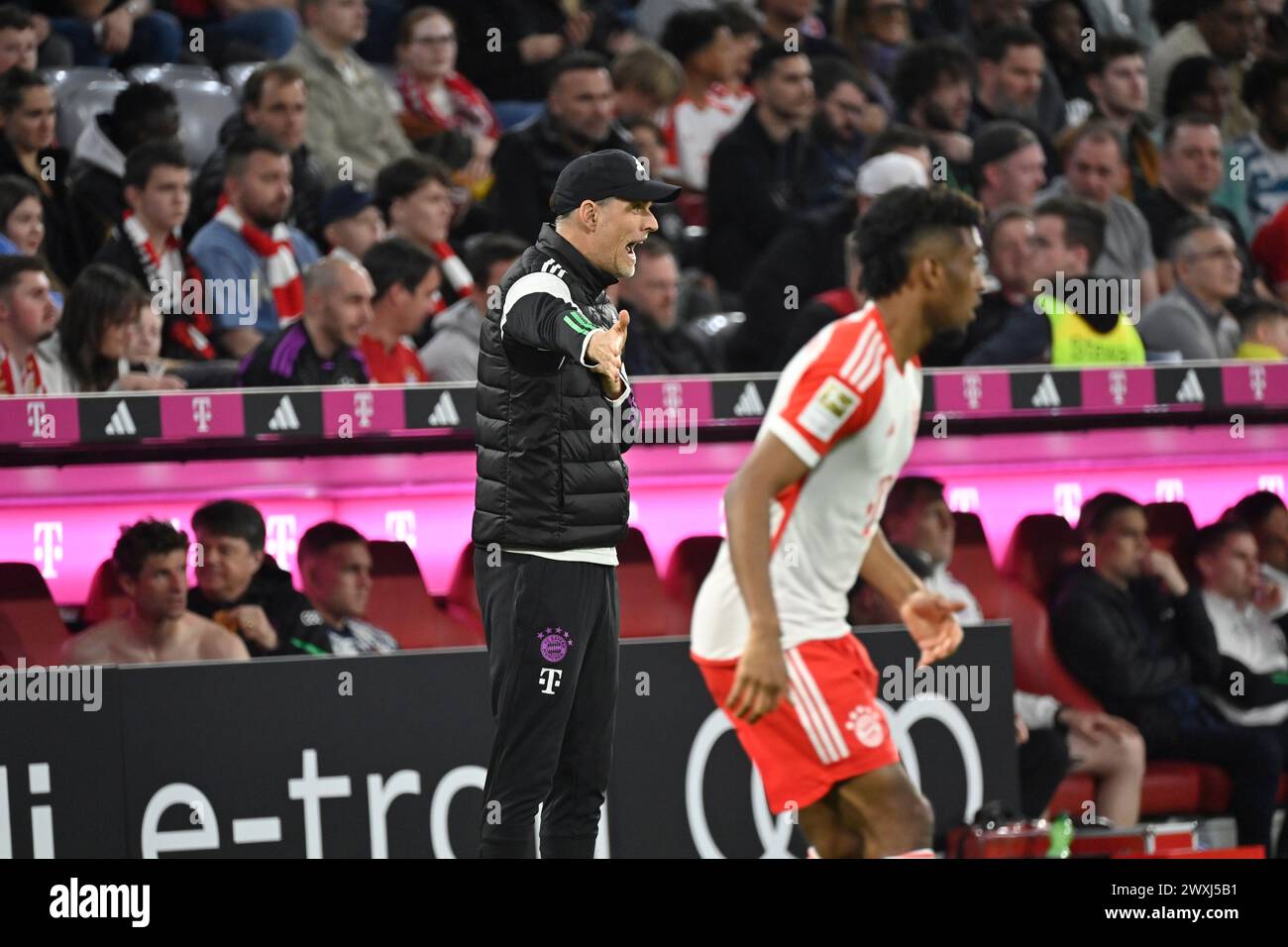 MUNICH, Allemagne. , . Thomas Tuchel, entraîneur du FcBayern lors du match de Bundesliga Football entre le FC Bayern Muenchen et le Borussia Dortmund, BVB, à l'Allianz Arena de Munich le 30. Mars 2024, Allemagne. DFL, Fussball, 0:2(photo et copyright @ Jerry ANDRE/ATP images) (ANDRE Jerry/ATP/SPP) crédit : SPP Sport Press photo. /Alamy Live News Banque D'Images