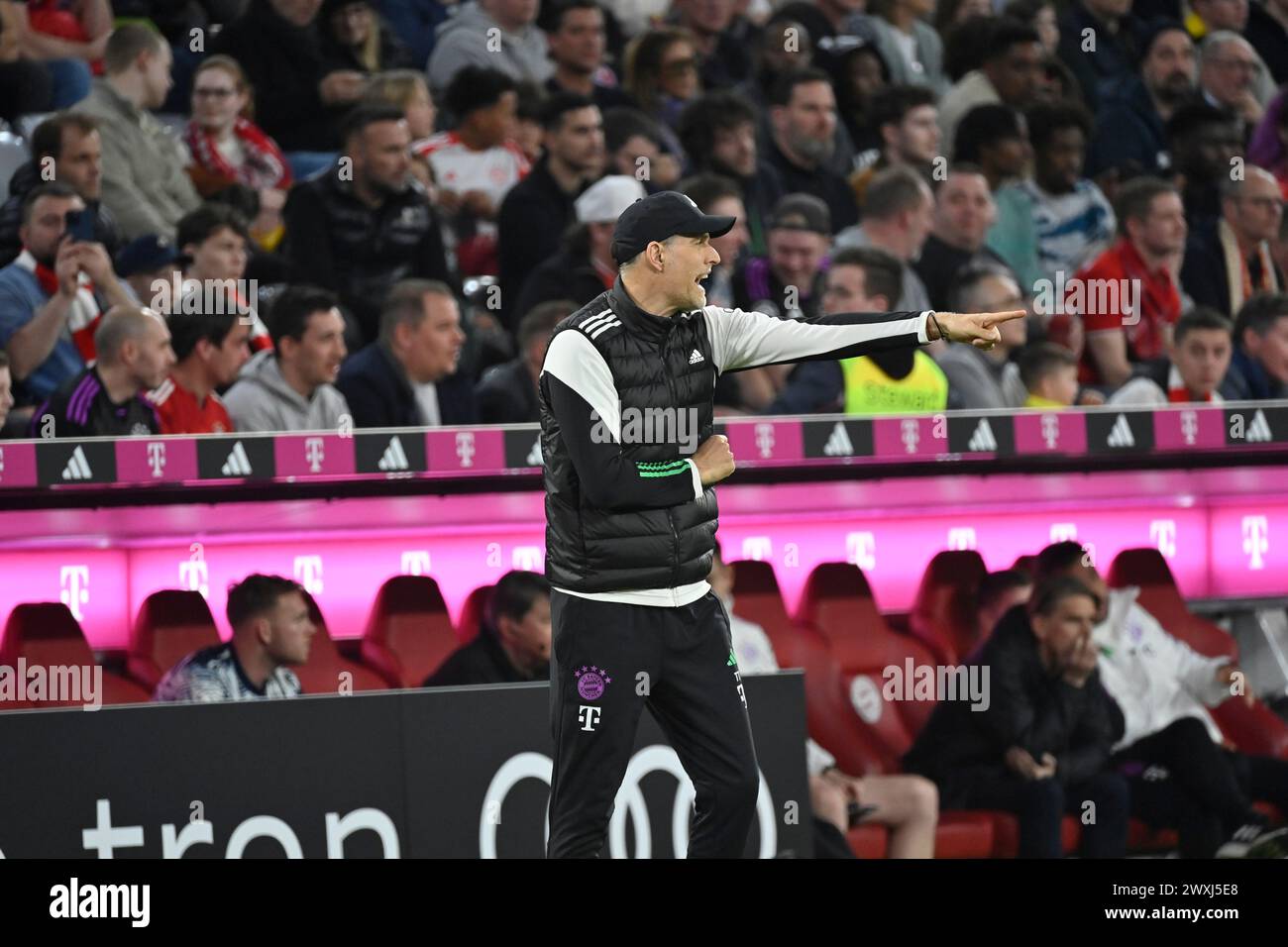 MUNICH, Allemagne. , . Thomas Tuchel, entraîneur du FcBayern lors du match de Bundesliga Football entre le FC Bayern Muenchen et le Borussia Dortmund, BVB, à l'Allianz Arena de Munich le 30. Mars 2024, Allemagne. DFL, Fussball, 0:2(photo et copyright @ Jerry ANDRE/ATP images) (ANDRE Jerry/ATP/SPP) crédit : SPP Sport Press photo. /Alamy Live News Banque D'Images