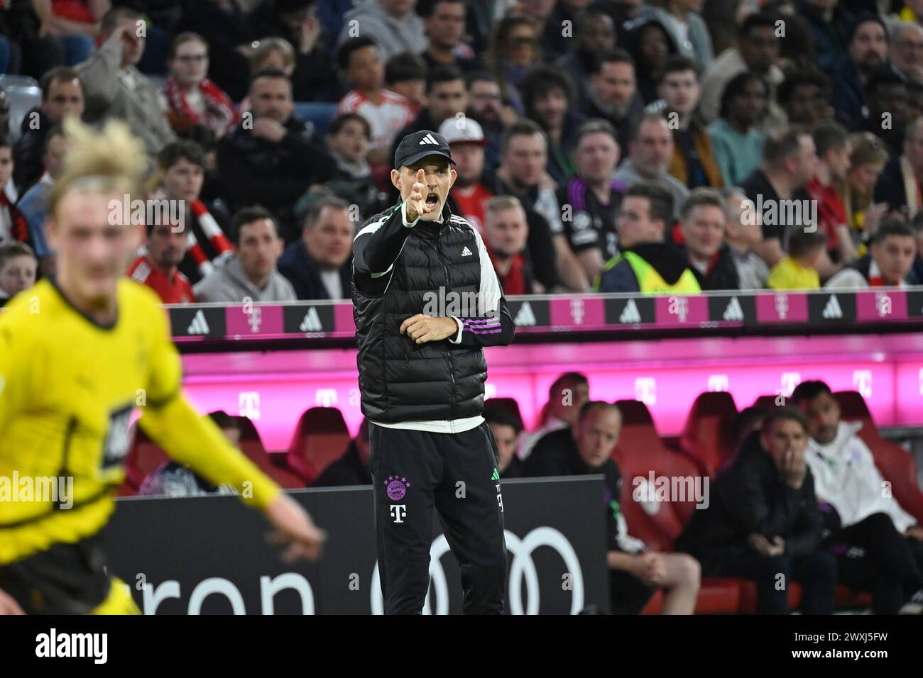 MUNICH, Allemagne. , . Thomas Tuchel, entraîneur du FcBayern lors du match de Bundesliga Football entre le FC Bayern Muenchen et le Borussia Dortmund, BVB, à l'Allianz Arena de Munich le 30. Mars 2024, Allemagne. DFL, Fussball, 0:2(photo et copyright @ Jerry ANDRE/ATP images) (ANDRE Jerry/ATP/SPP) crédit : SPP Sport Press photo. /Alamy Live News Banque D'Images