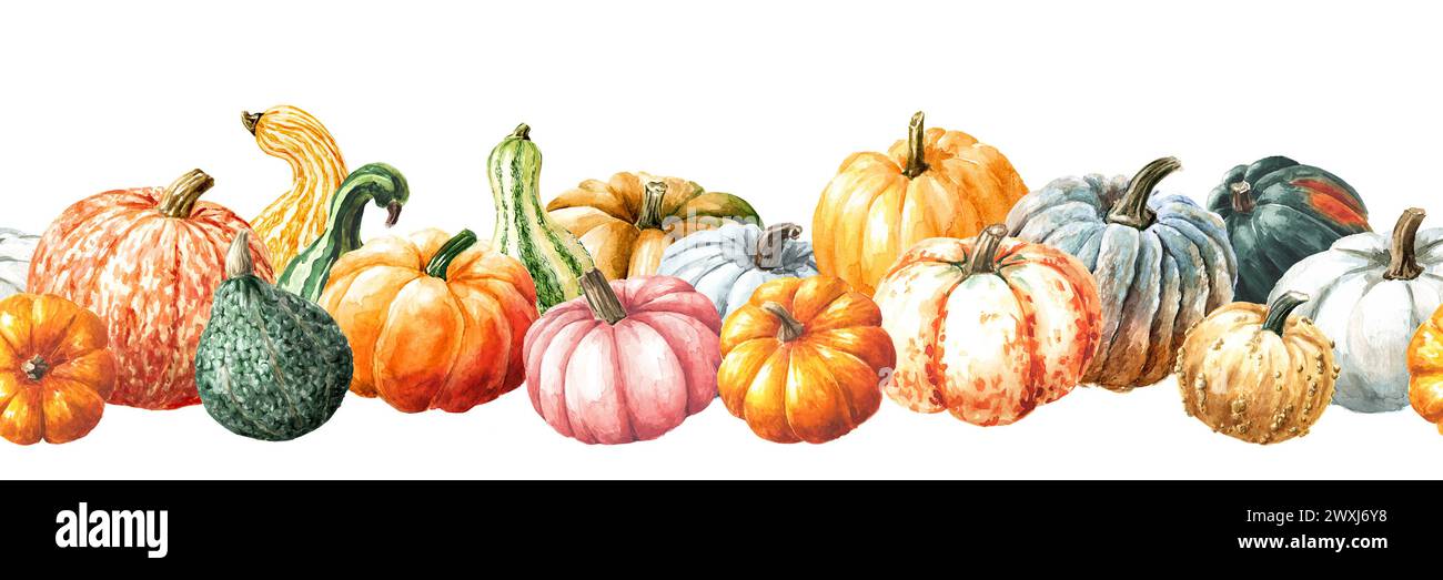 Bordure d'automne, récolte de citrouille, motif sans couture d'aquarelle dessiné à la main isolé sur fond blanc Banque D'Images