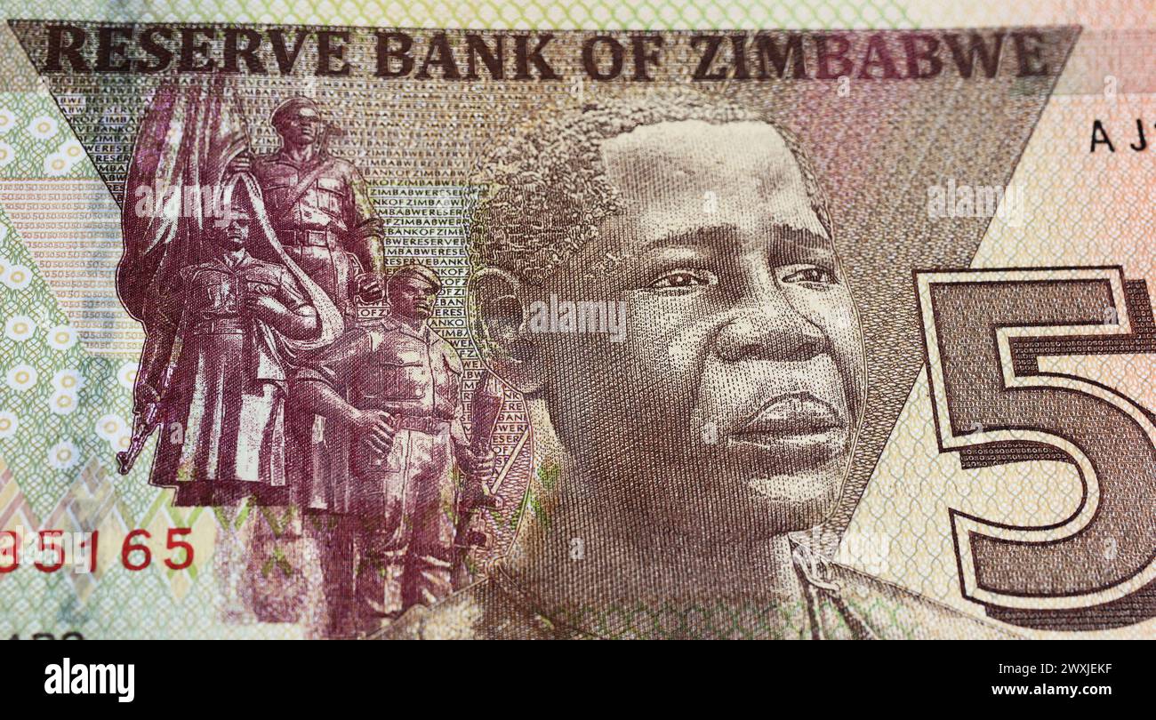 Gros plan du Zimbabwe 50 dollars billet de banque en devise des années 80 (focus sur le centre) Banque D'Images